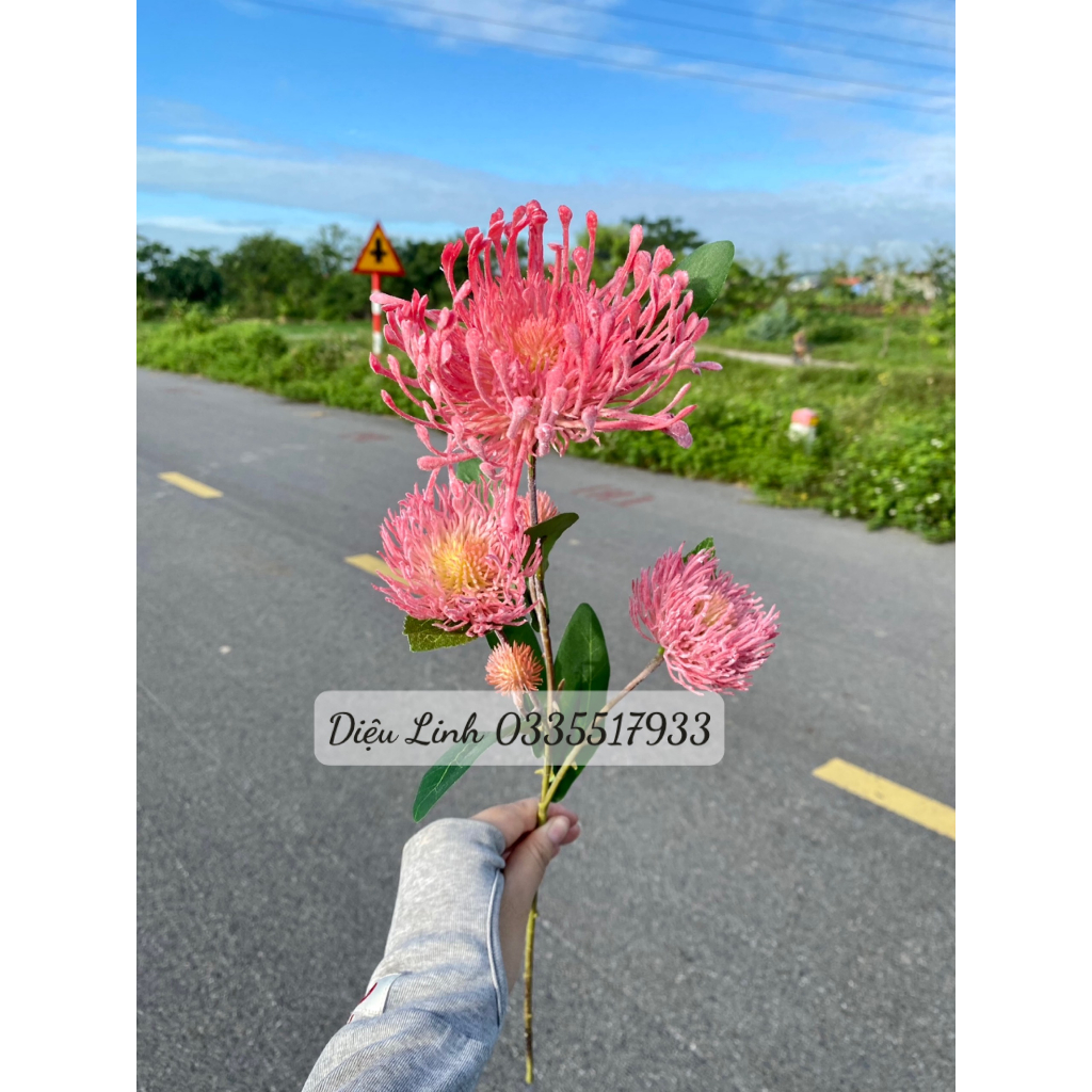 Cúc chỉ mốc sẵn hàng các màu hoa Decor trang trí không gian