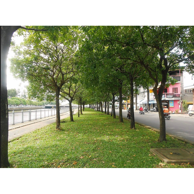 Máy anhe Vintage Coolpix S4150