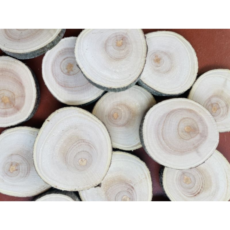 Lát gỗ 3cm -10cm dùng trang trí decor phòng