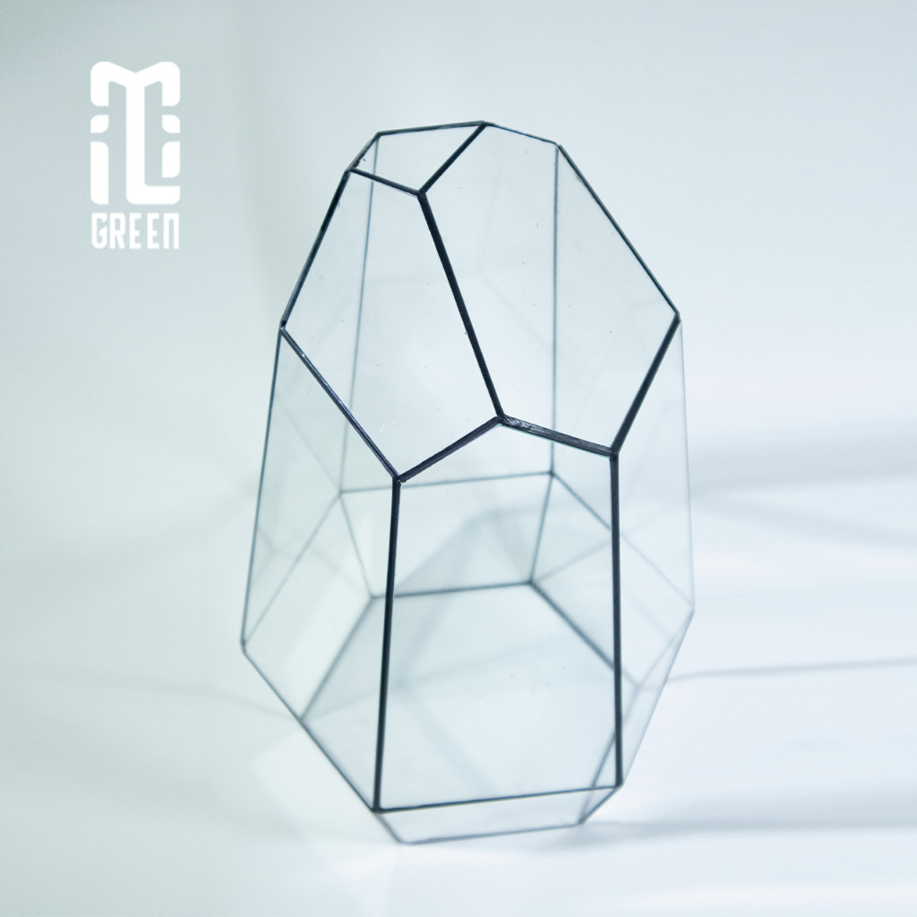 Bình kính Terrarium, Bể kính Terrarium, Bể kính, Trang trí Terrarium, Setup bàn làm việc, Kính tự lắp  PT18