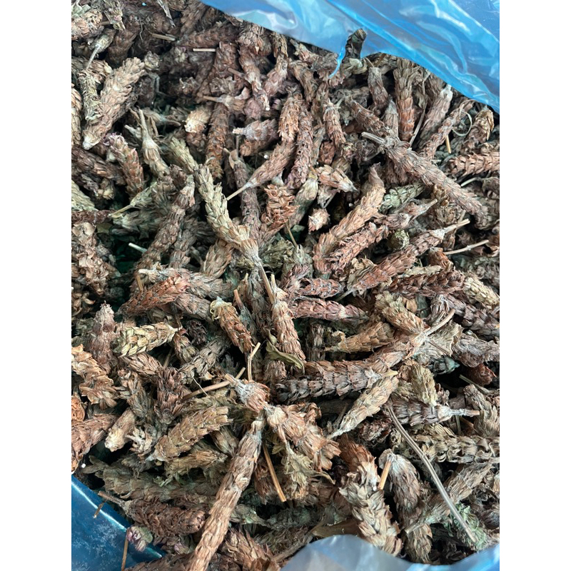 Hạ Cô Thảo (Hà Cô Thảo) phân lẻ