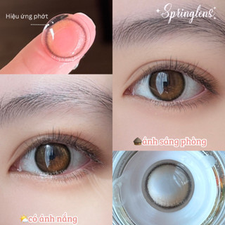 Lens mắt hiệu ứng MARBLE BROWN nâu hổ phách phớt giãn nhẹ | Kính áp tròng @spring.lens 