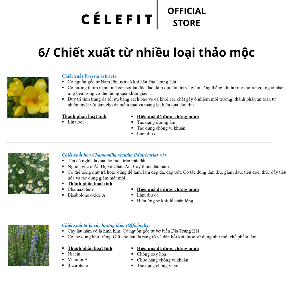 Kem dưỡng làm dịu da CELEPIDERME CALM DOWN TEATREE LOTION