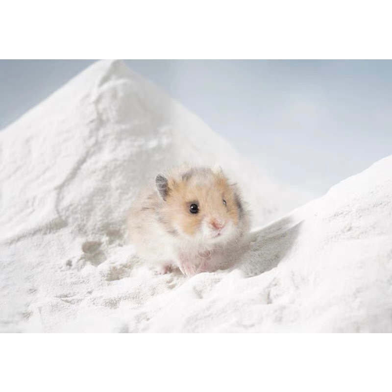 Cát tắm SunShine dành cho hamster, đủ mùi thơm dành cho hamster