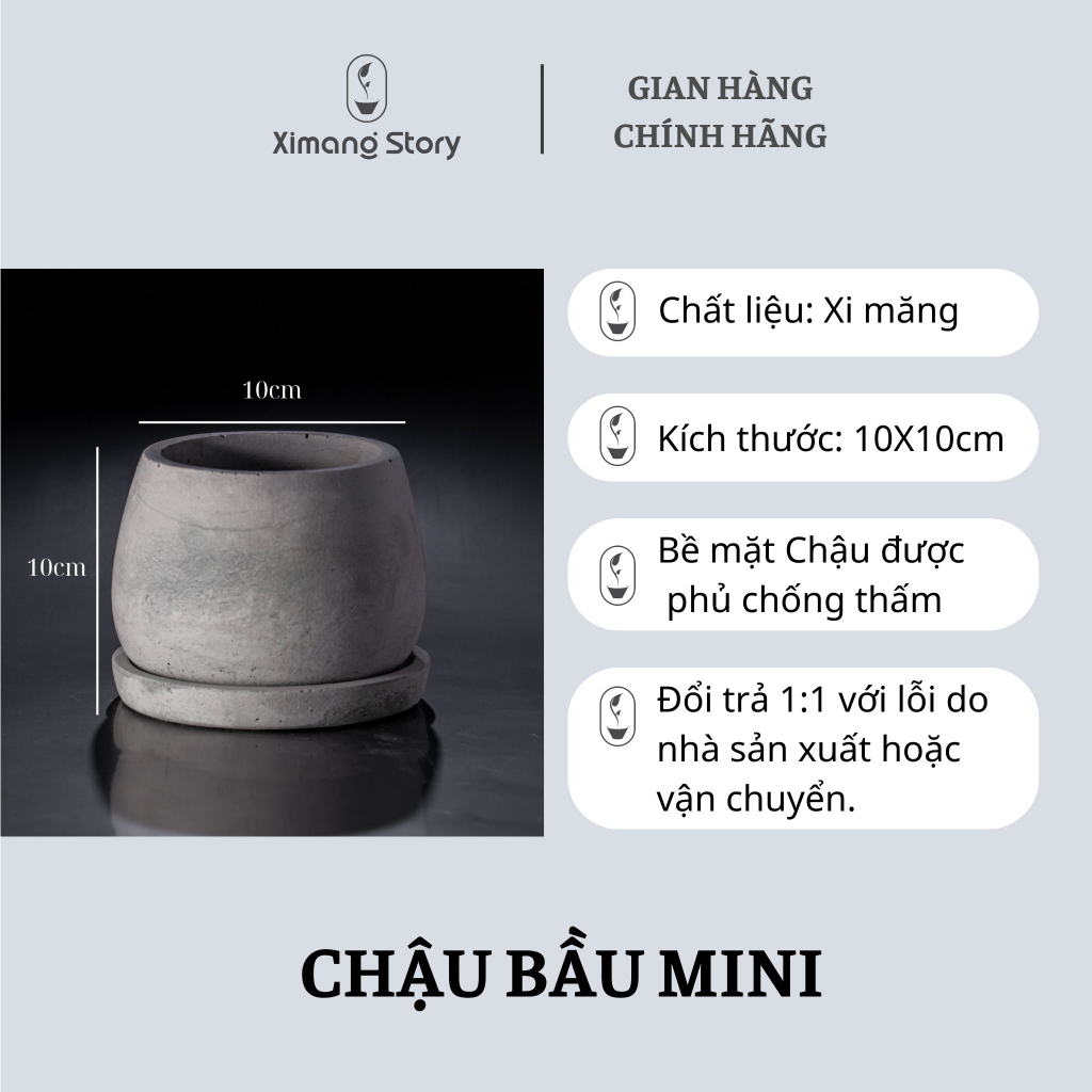 Chậu Xi Măng Dáng Bầu