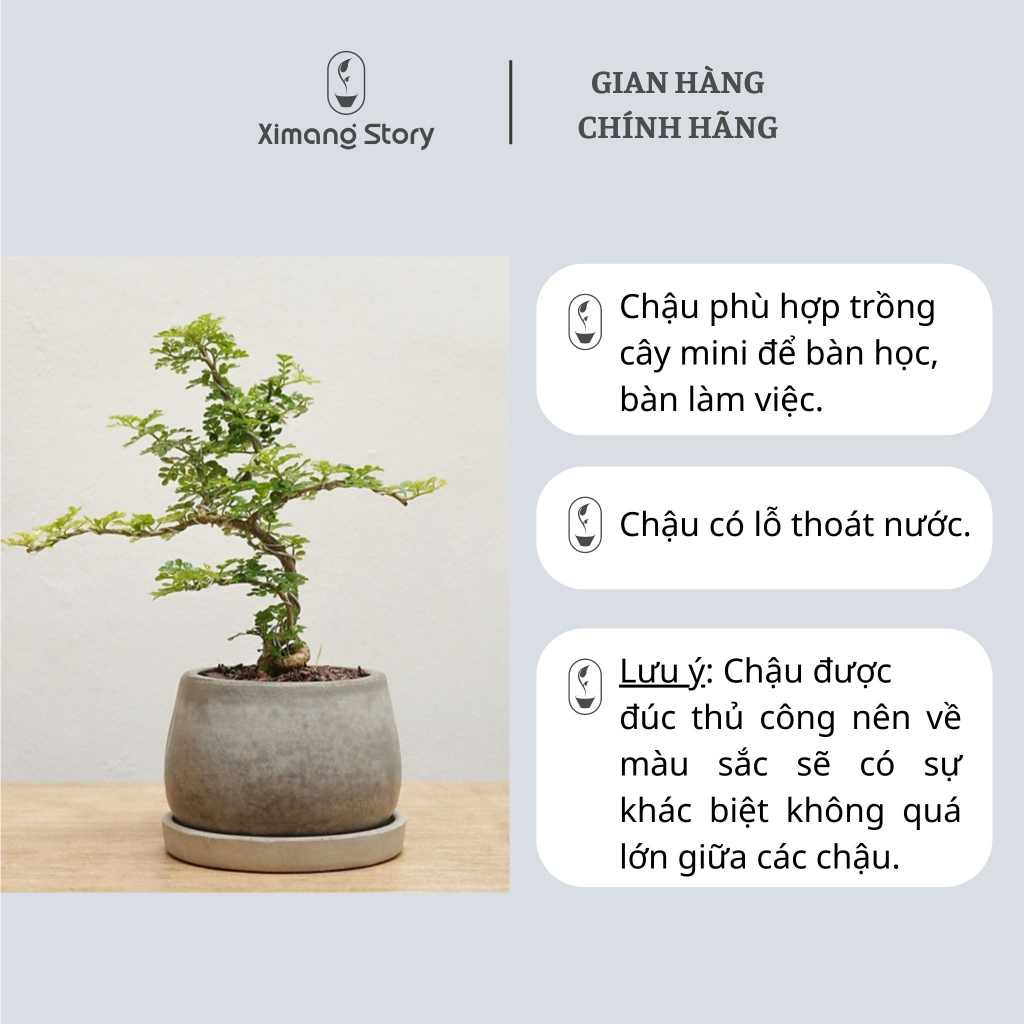 Chậu Xi Măng Dáng Bầu