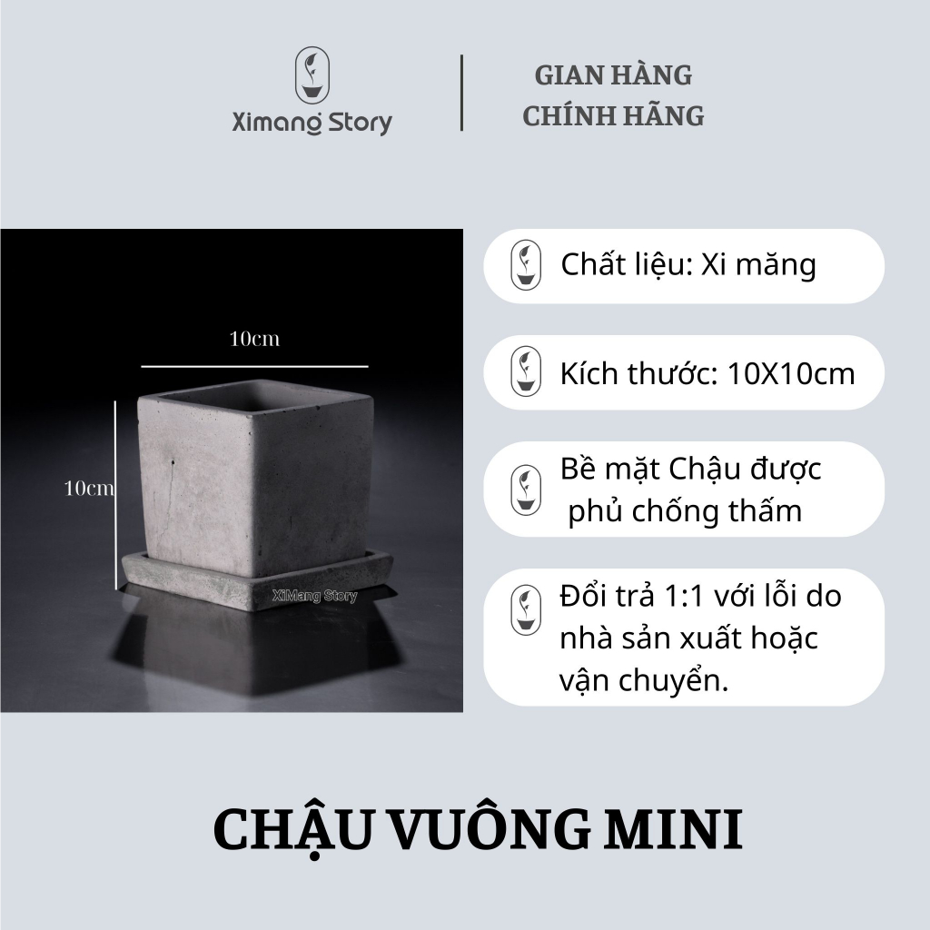 Chậu Xi Măng Dáng Vuông