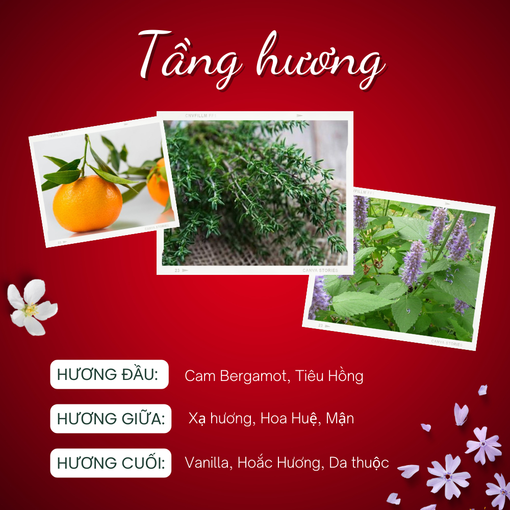 Nước hoa chiết Narciso Musc Noir Rose Nước hoa nữ chính hãng gợi cảm cuốn hút tinh tế, mẫu thử mini 10ml