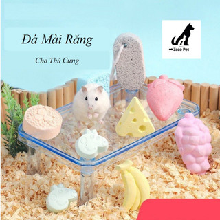 Đá mài răng trái cây cho Hamster , sóc , bọ