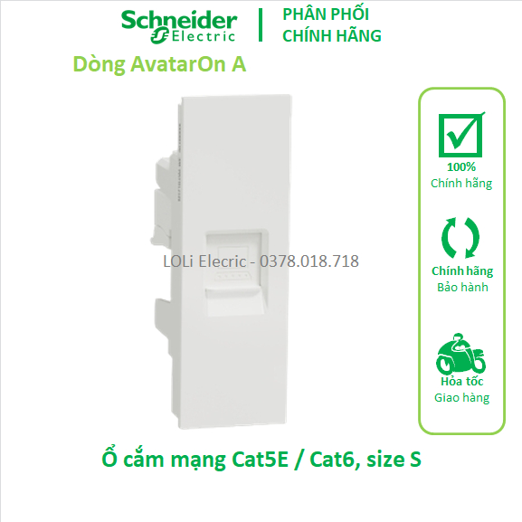 Ổ cắm mạng internet máy tính laptop Cat5E Cat6 AvatarON Schneider M3T1RJ5M_WE M3T1RJ6M_WE - LOLi Ele