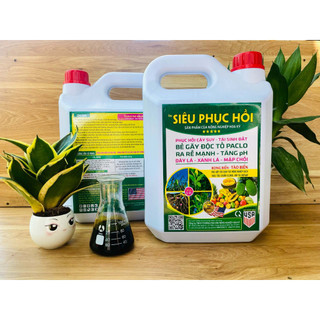 [Phục hồi cực nhanh] Siêu Phục Hồi Cây Suy, Cây Vàng Lá, Cây Sau Thu Hoạch Cực Nhanh, Cây Sung Mãn –  STCG