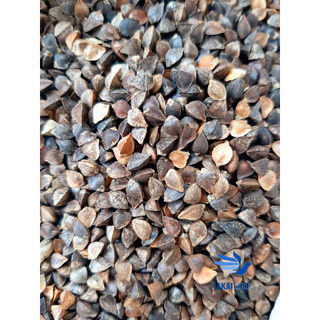 [1KG] Hạt Ba Khía (Hạt Kiều Mạch) Cho Vẹt, Hamster, Sóc...
