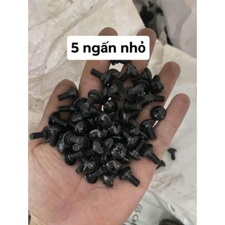 Ốc 5ly bắt dàn áo rs - ws
