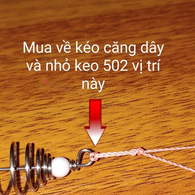 Lưỡi Lăng Xê Độ Hạt Bolie, Lancer Độ Hạt Bolie, Boli.