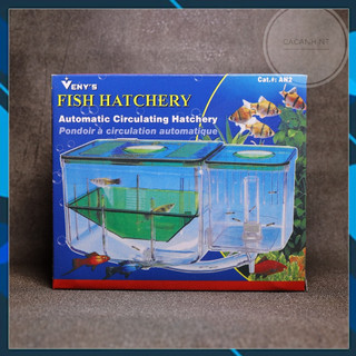 Lồng đẻ guppy Veny 's