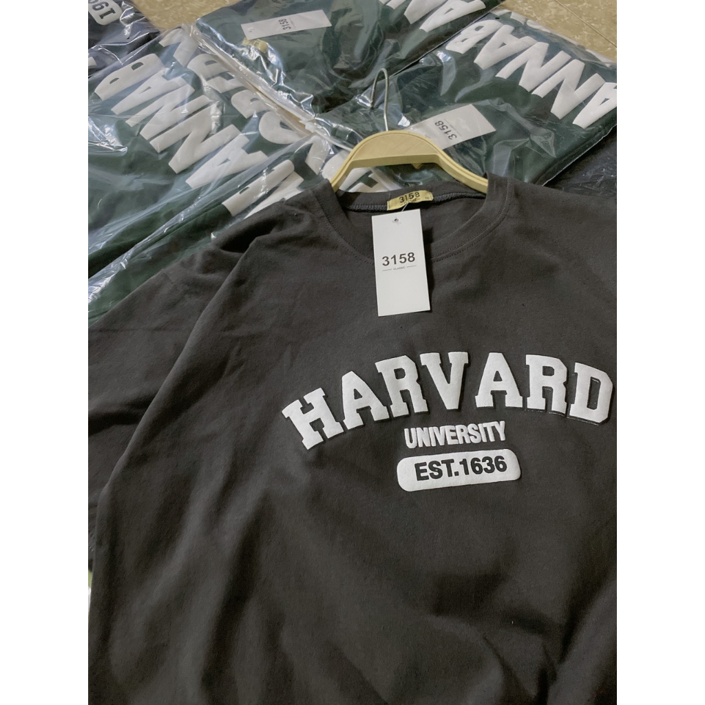 Áo Thun Tay Lỡ Cotton Khô 3158 Form Rộng Nam Nữ HARVARD