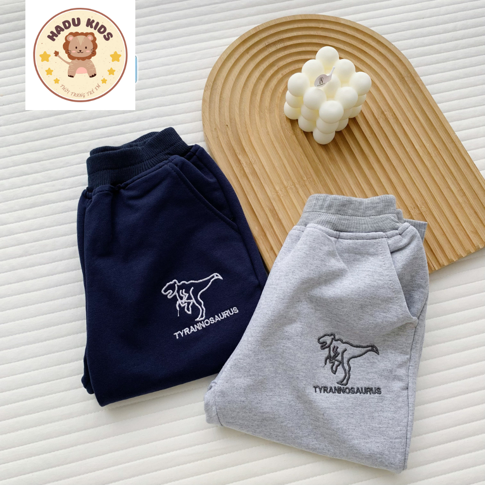 Bộ thu đông bé trai, bộ dài tay cho bé THÊU KHỦNG LONG chất nỉ da cá, đường may đẹp - HADU KIDS 11-27kg