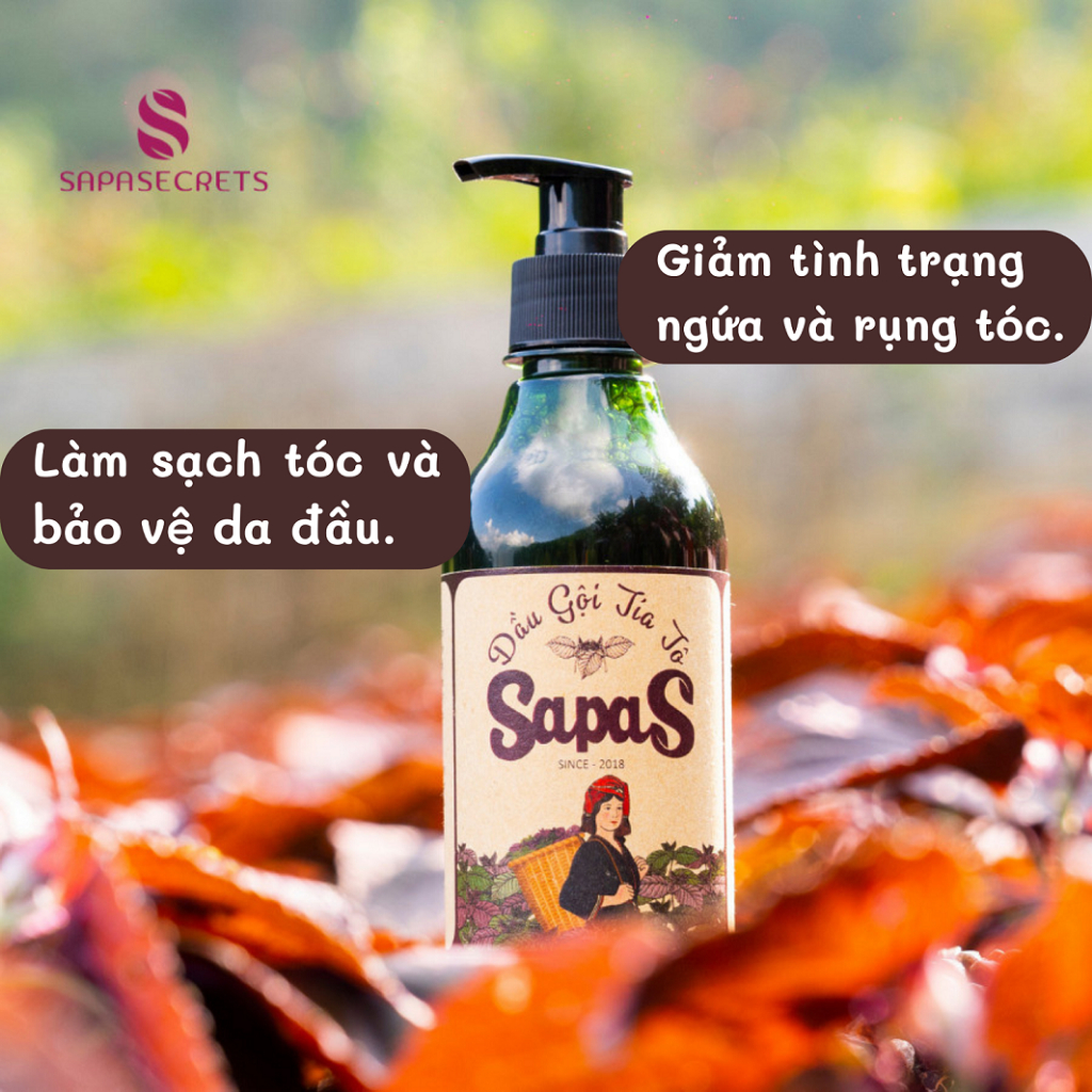 Dầu Gội Tía Tô Sapa Secrets