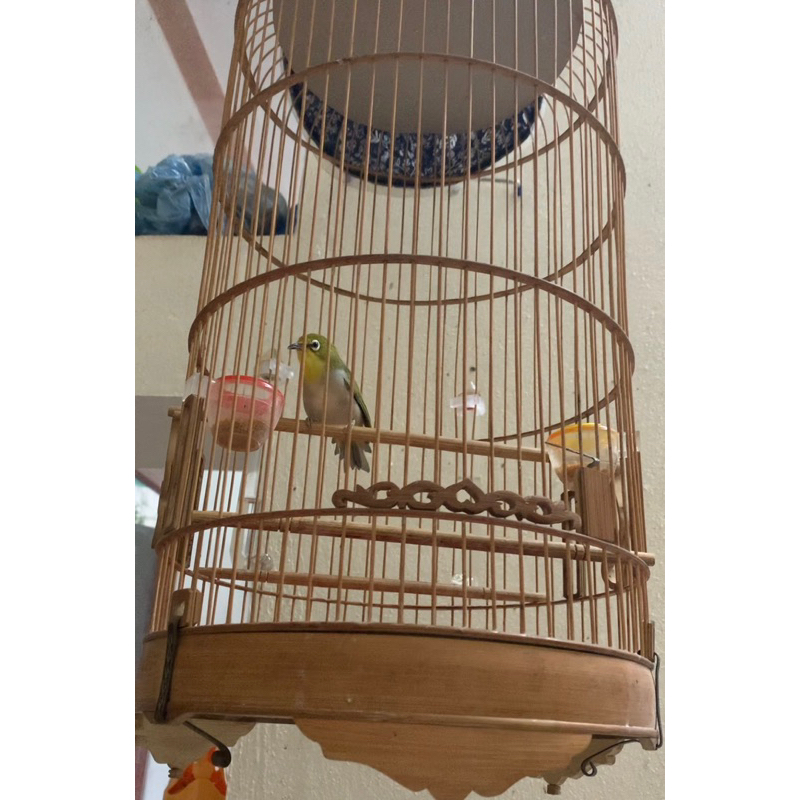 Cám Chim Vành Khuyên Tân victory số 1-gói 200gr