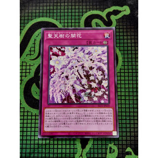 [ Đậu Phộng ] Thẻ Bài Yugioh Trap Sunavalon Bloom SLT1-JP039