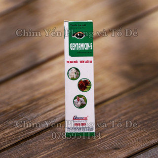 Gentamicin-5 Chuyên nhỏ mắt, đau mắt cho Thú Cưng.