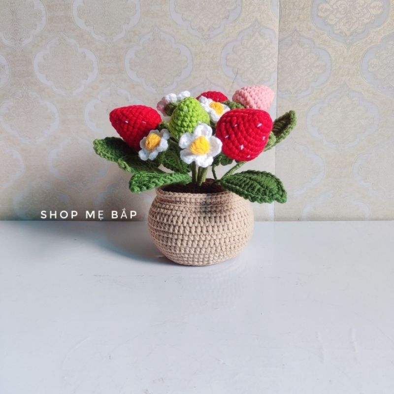 Chậu hoa Tuylip len 6 bông, Hướng dương,Dâu tây bằng len, phối màu theo yêu cầu .