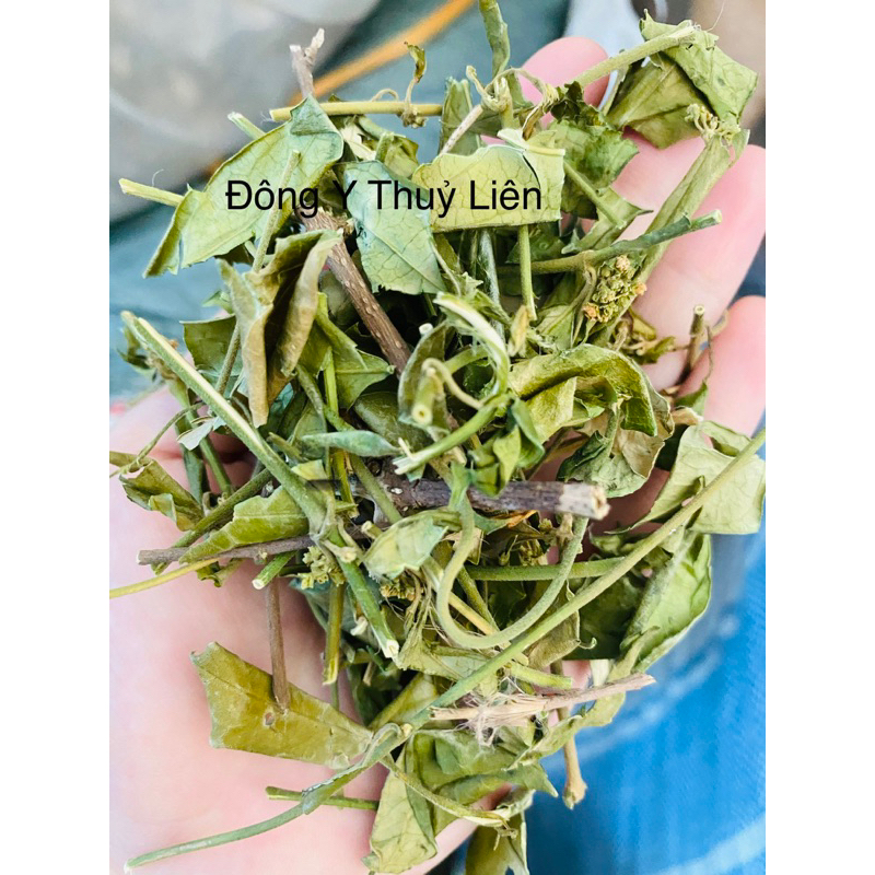 DÂY THÌA CANH LOẠI 1 [1kg]