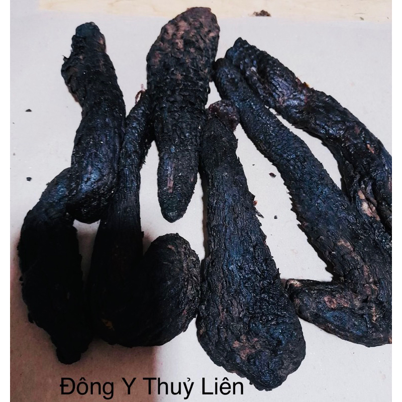 Nhục Thung Dung ngâm rượu, cắt thuốc, hàng loại 1, cam kết chất lượng 100gram (ảnh shop chụp)