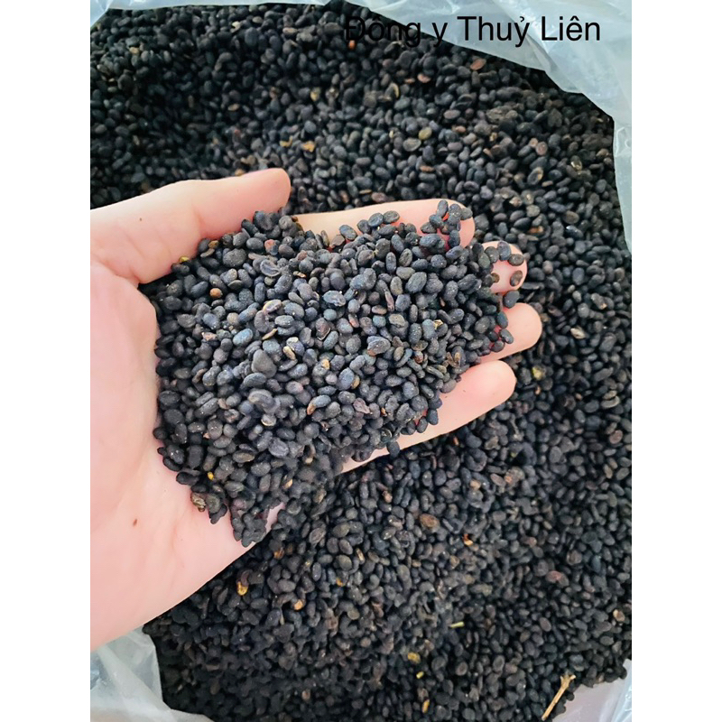 PHÁ CỐ CHỈ (BỔ CỐT CHỈ) loại 1[500g]