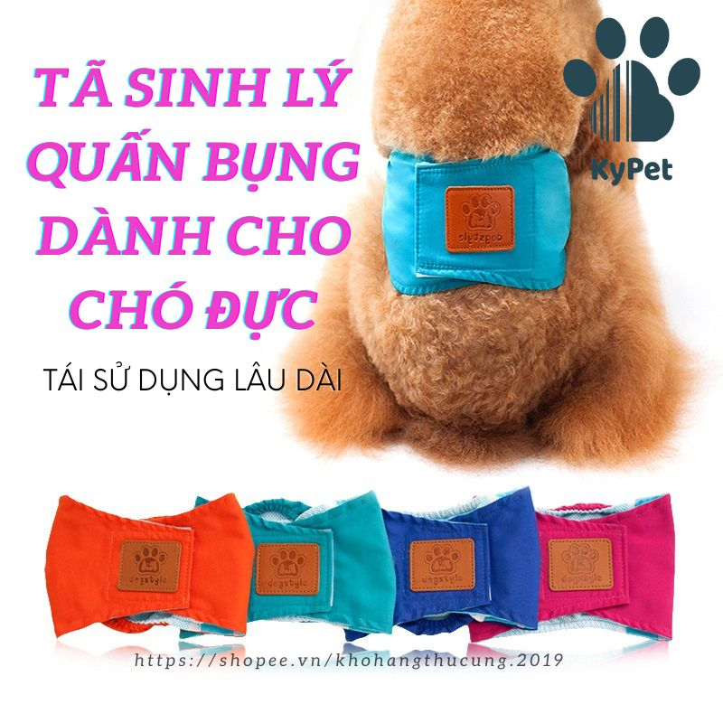 Quần Tã vải Cotton Quấn Bụng chó đực Có Thể Tái Sử Dụng Cho Thú Cưng