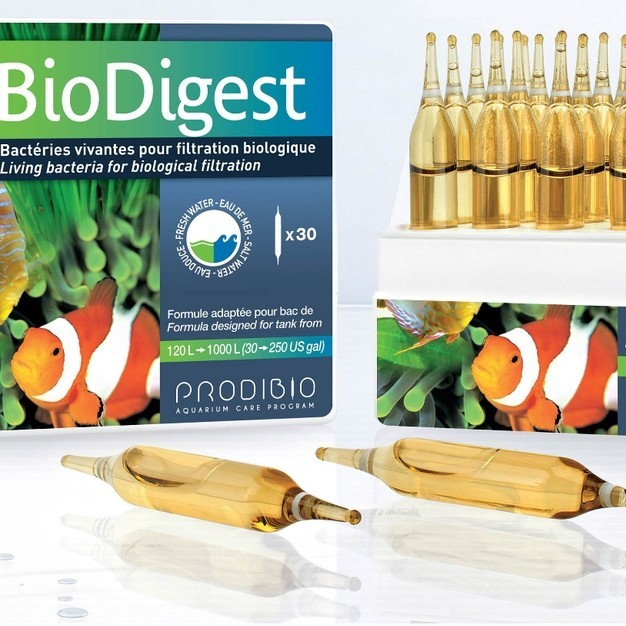 VI SINH PRODIBIO - BioDigest, vi sinh sống cho hồ cá thuỷ sinh, hồ cá biển Bio