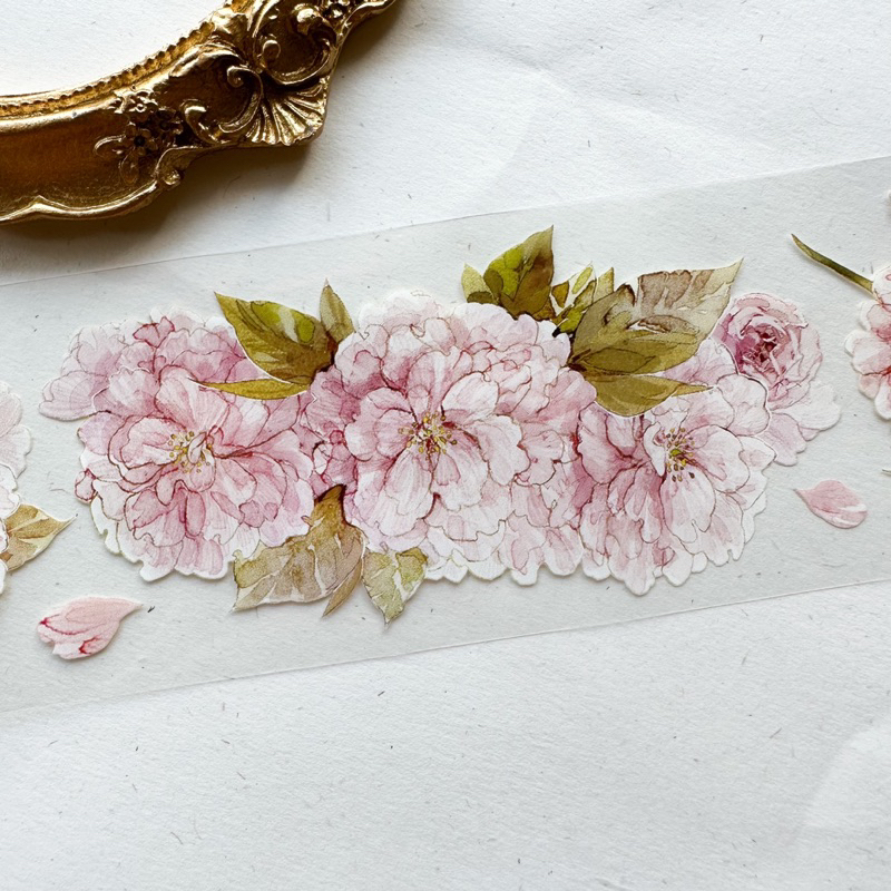 Saunery - Băng dán trang trí PET tape, Washi Tape hoa anh đào Sakura - TIBR (150)