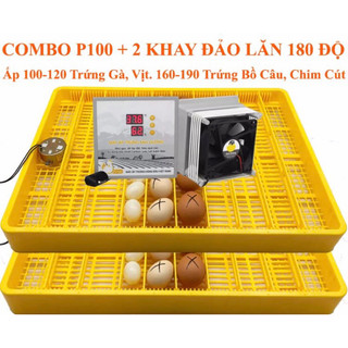 Máy ấp trứng đảo tự động 108 trứng