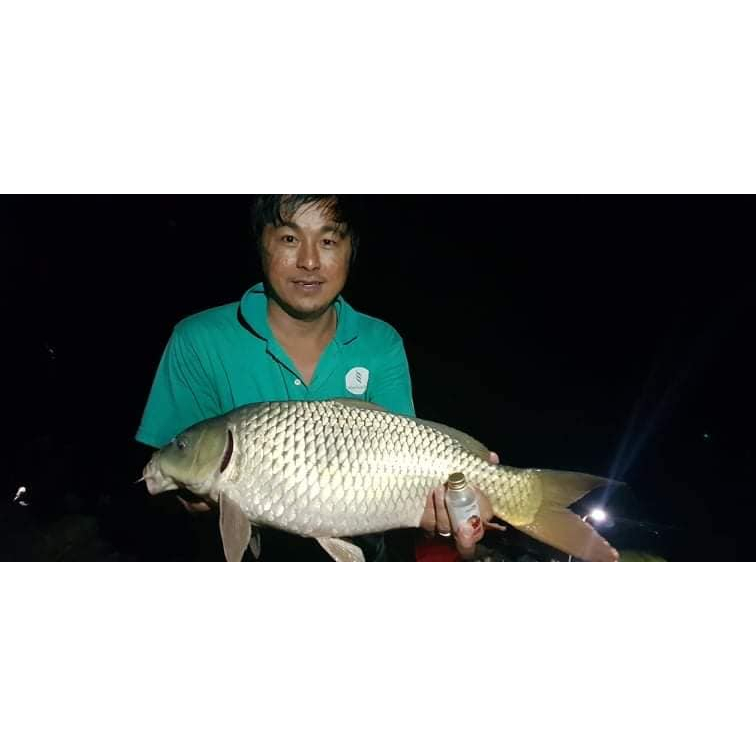 Gia vị câu cá - Tinh mùi câu cá Hương Dâu Hirushima - Seikefishing phân phối