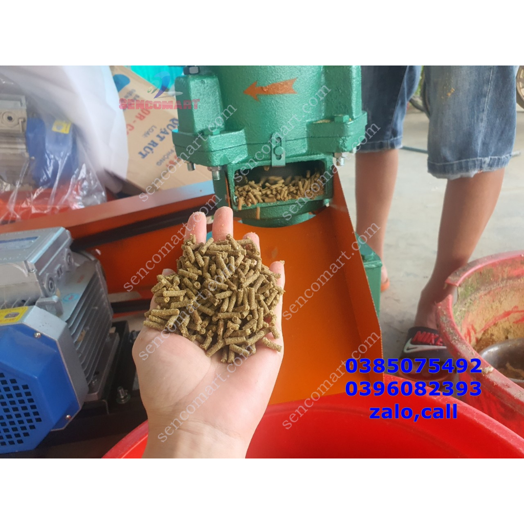 Máy làm cám viên S160 chạy dây curoa lắp motor 3kw vòng tua 1400V/P