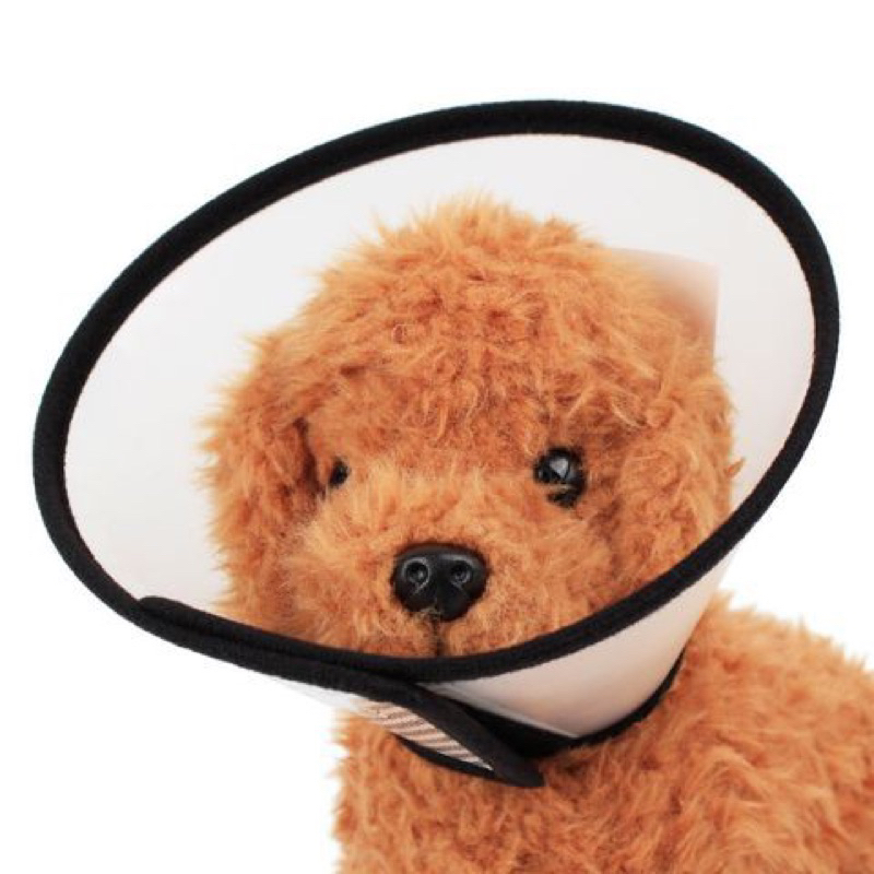 Vòng cổ/loa chống liếm Elizabeth cho chó mèo