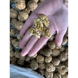 (mã nsf02p125 giảm 25k) óc chó vàng (nhân óc chó)