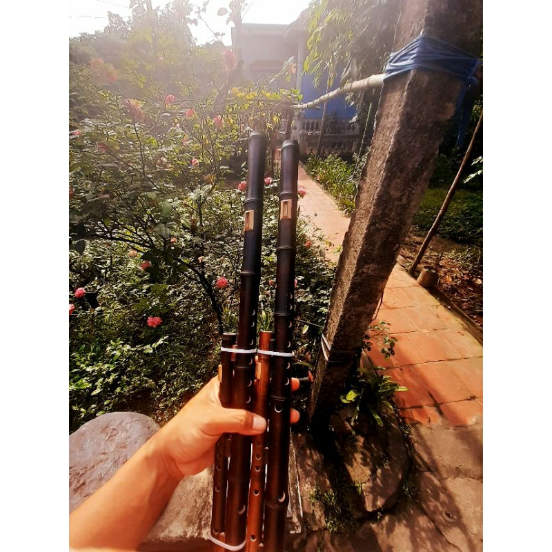 Sáo mèo việt kép trúc hun khói siêu vip