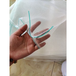 50 túi cước thái 35x35 bao bưởi siêu bền