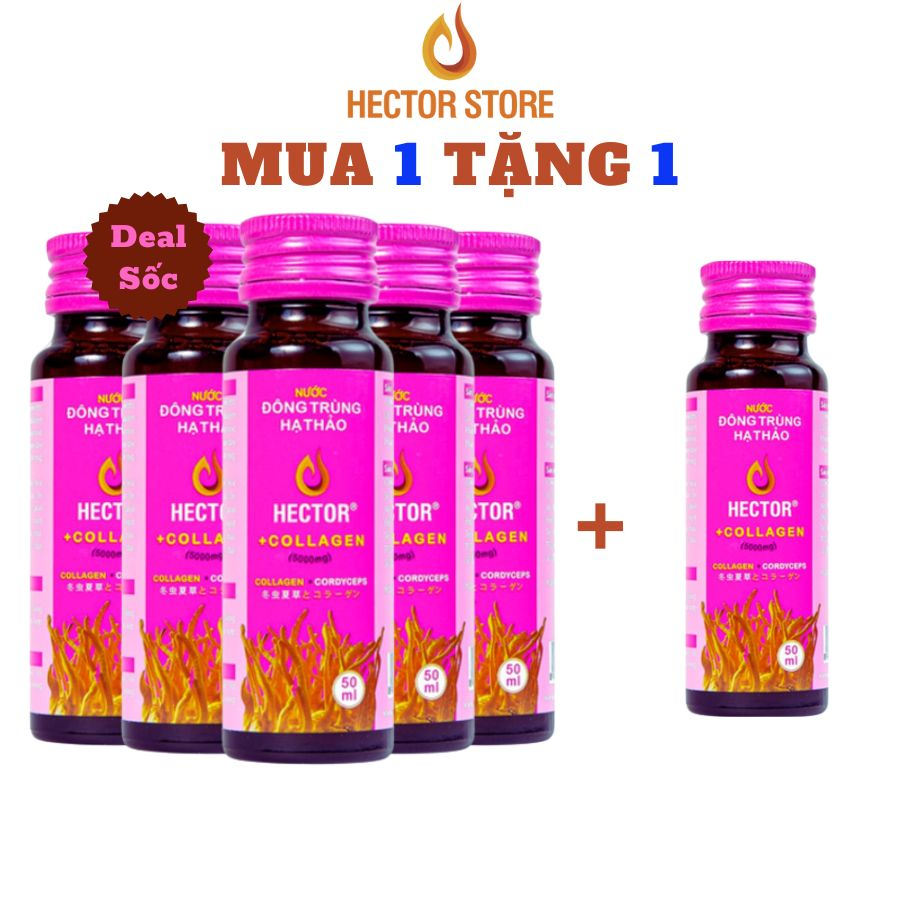 Collagen Hector Đông Trùng Hạ Thảo Sâm ( hộp 10 chai x 50ml) Hector Store VN