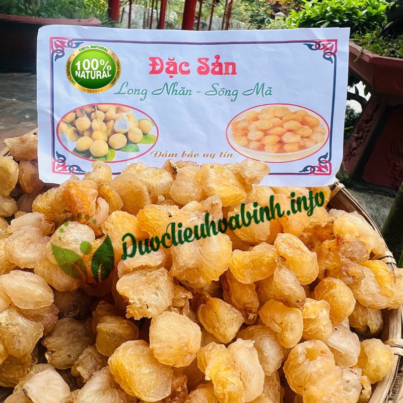 Long Nhãn Sông Mã ( loại đặc biệt)