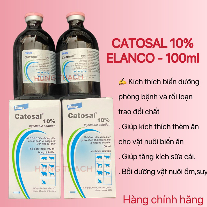 . chăm sóc vật nuôi (Date 09/2024)