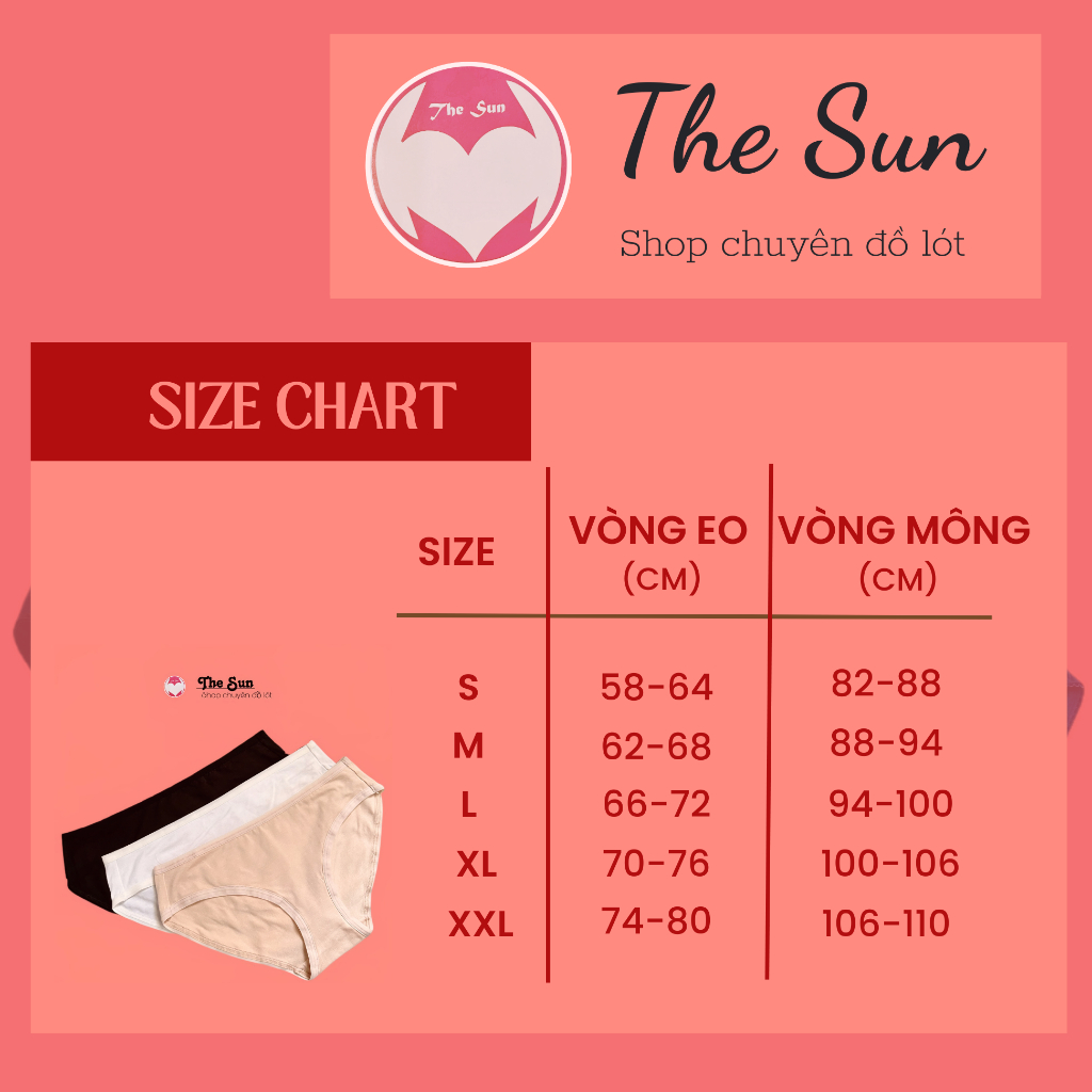 Combo 3 quần lót nữ cotton trơn cao cấp, vải có độ co giãn cao, thoáng mát thích hợp cho ngày hè_THE SUN Mã TCT 001