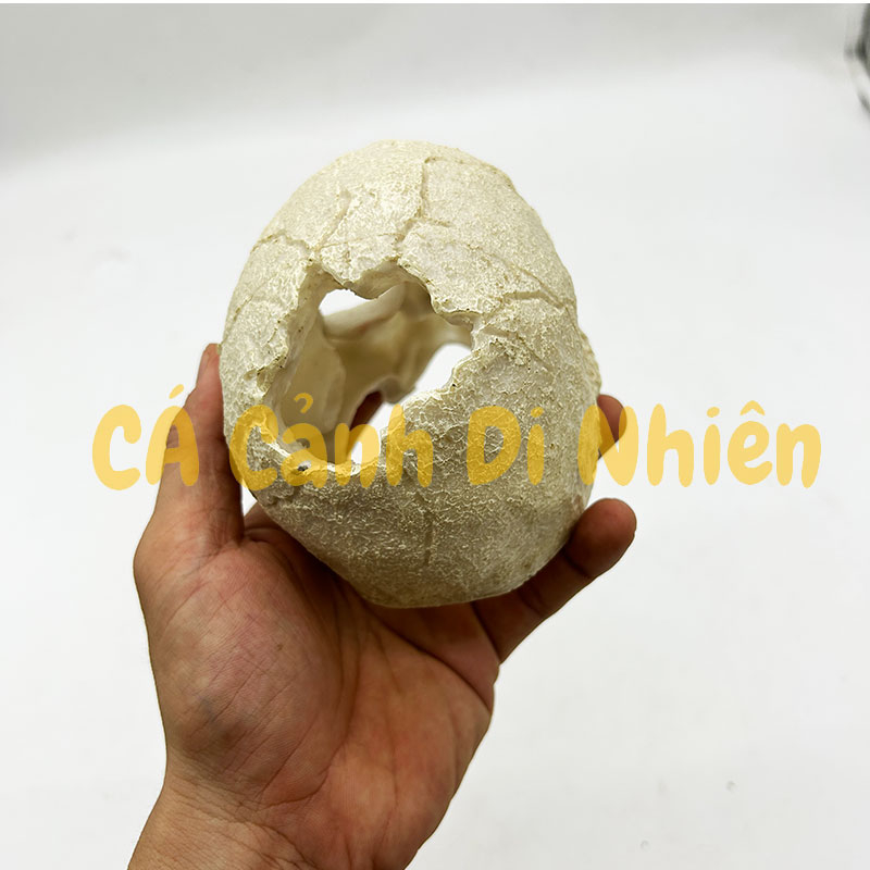 Mô hình đầu lâu làm tiểu cảnh trang trí hồ cá thủy sinh nuôi bò sát