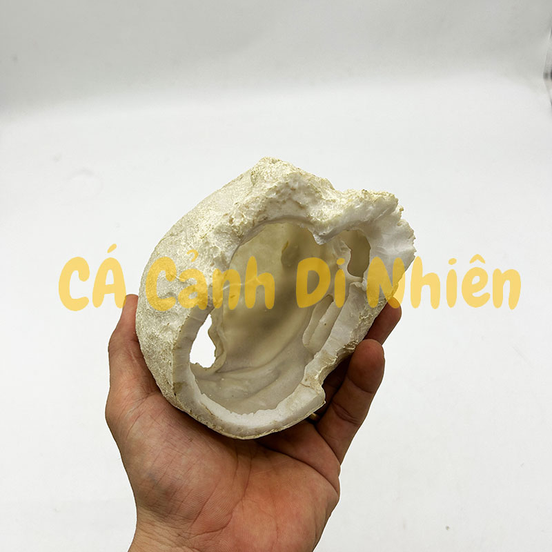 Mô hình đầu lâu làm tiểu cảnh trang trí hồ cá thủy sinh nuôi bò sát