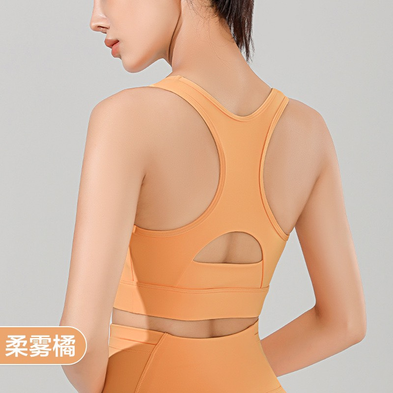 Áo Bra Thể Thao Mouse Đúc Lycra Cao Cấp Móc cài phối lưới  Áo Croptop Áo Tập Gym Áo Tập Yoga Nữ Thấm Hút Tốt DTTT022