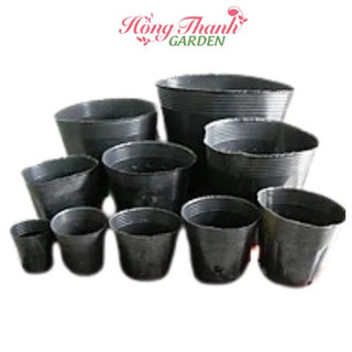 Chậu ươm cây - Bầu ươm cây nhiều kích thước hàng loại 1
