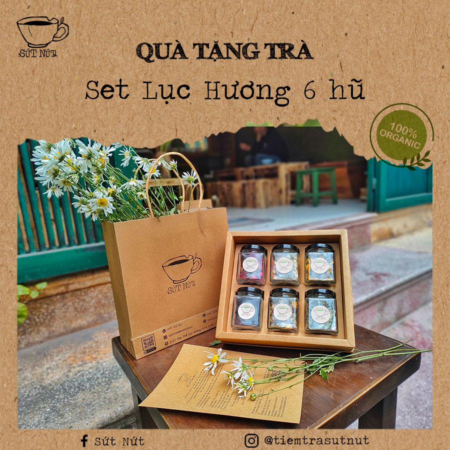 SET LỤC HƯƠNG 6 HŨ - Quà Tặng Trà Thảo Mộc - 6 SET - Giải Nhiệt - Thư Giãn - Ngủ Ngon - 600ml