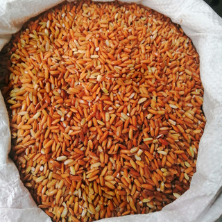Gạo lứt đỏ dẻo Điện Biên eatclean [hút chân không] 1kg/2kg - Tina
