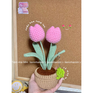 Chậu hoa tulip len các size handmade